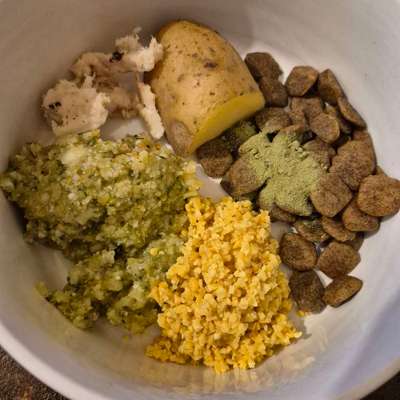 Zeigt her Eure Futternäpfe-Beitrag-Bild