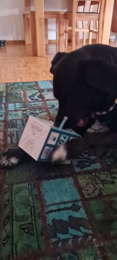 Schnüffelspiele Ideen.-Beitrag-Bild