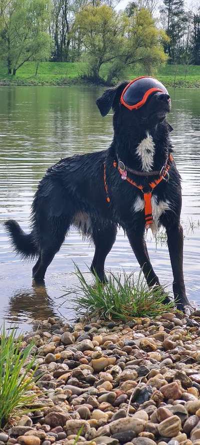 21. Farben / Foto Challenge - Neon / Leuchtfarben-Beitrag-Bild