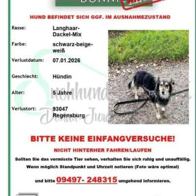 Suchmeldung-Bonnie-Bild