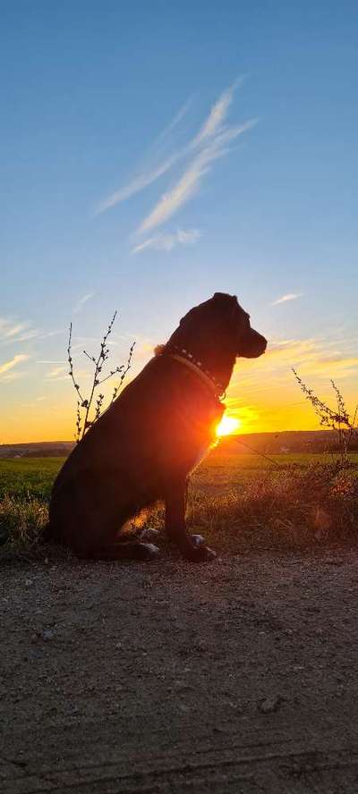 Foto-Challange No.1 - Alles aber nicht die Kamera-Beitrag-Bild