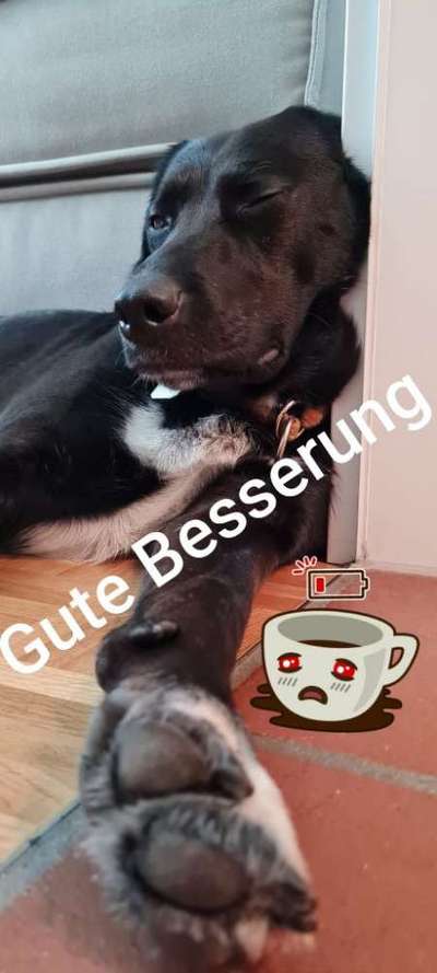 Un...scharf Bilder-Beitrag-Bild