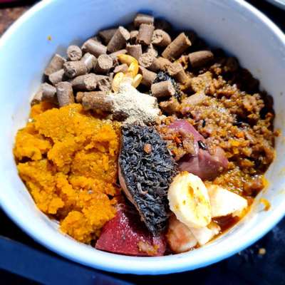 Zeigt her Eure Futternäpfe-Beitrag-Bild