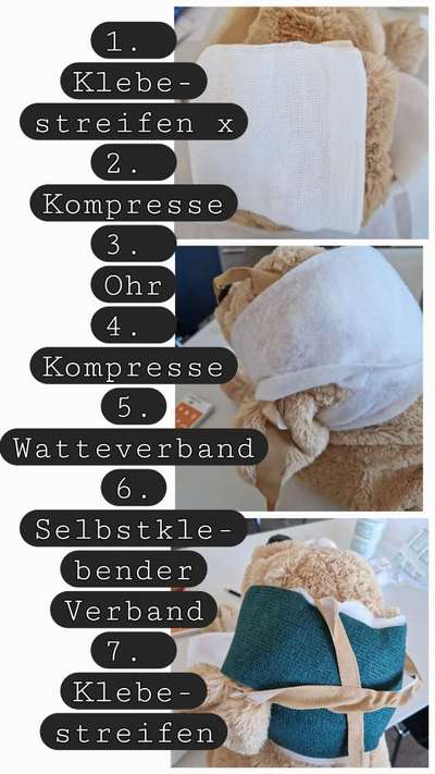 1.Hilfe für Hunde-Beitrag-Bild