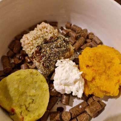 Zeigt her Eure Futternäpfe-Beitrag-Bild