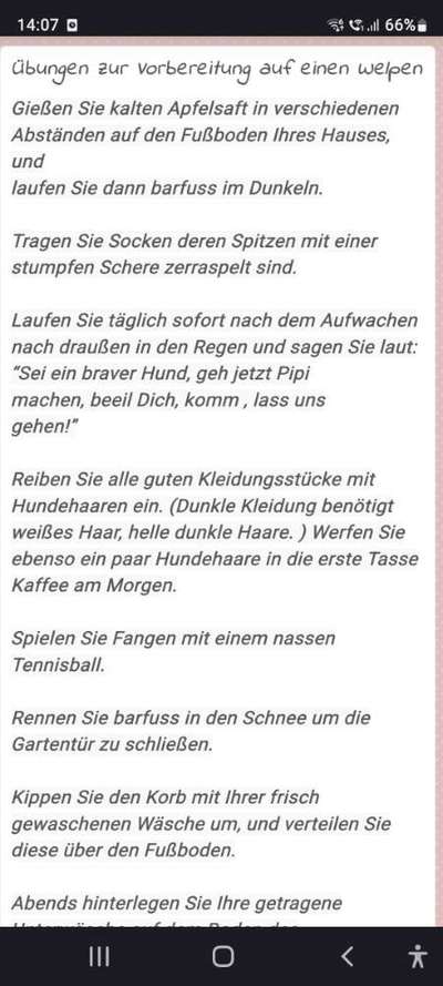 Tipps und Tricks für alle Erst-Welpenbesitzer-Beitrag-Bild