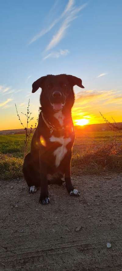 Sonnenaufgänge oder - untergänge-Beitrag-Bild
