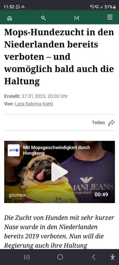 Brachycephale Hunderassen-Beitrag-Bild