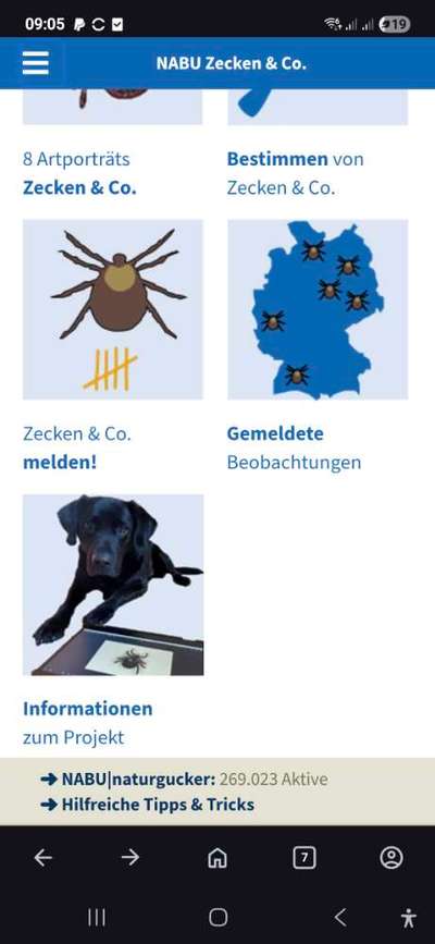 Zecken Meldung an NABU und RKI- macht ihr mit?-Beitrag-Bild