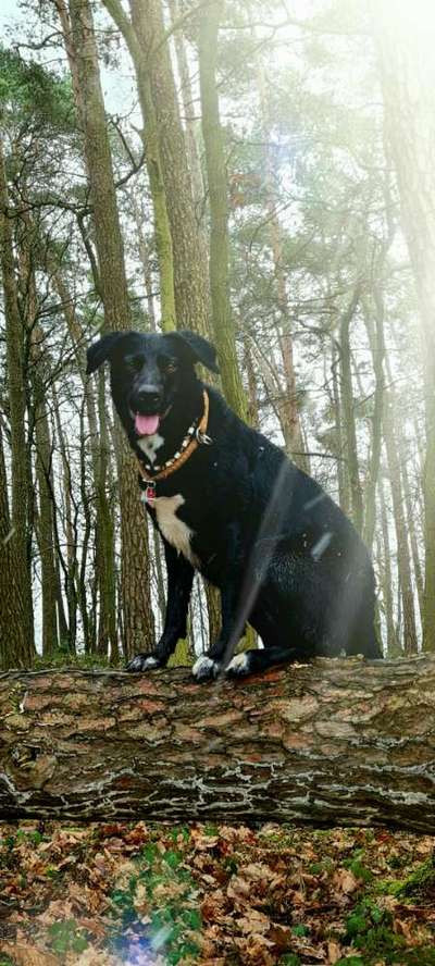 Doppelgänger gesucht !-Beitrag-Bild