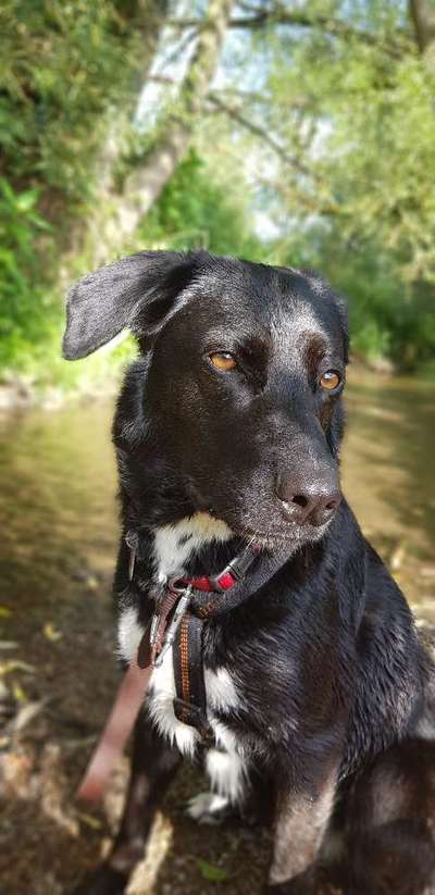 Theos Fotochallange Nummer 4-Beitrag-Bild