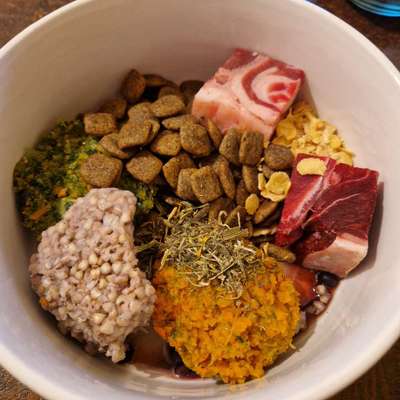 Zeigt her Eure Futternäpfe-Beitrag-Bild