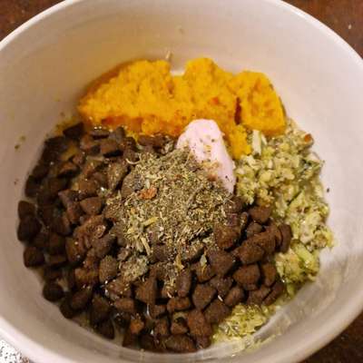 Zeigt her Eure Futternäpfe-Beitrag-Bild