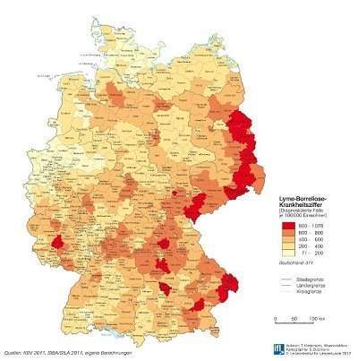Zeckenbekämpfung durch Spot-ons - unübertreffliche Wirkung oder verhängnisvolles Gift?-Beitrag-Bild