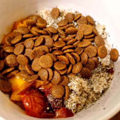 Zeigt her Eure Futternäpfe-Beitrag-Bild