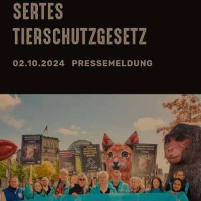 Qualzucht - Warum Aufklärung alleine nicht reicht-Beitrag-Bild