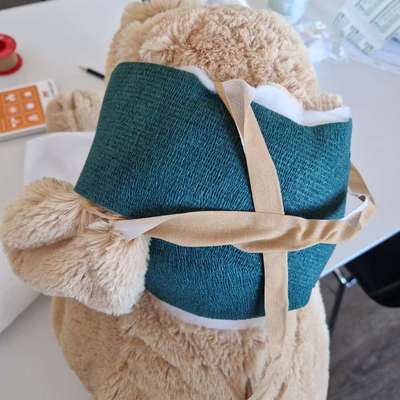 Ohrrandnekrose-Beitrag-Bild