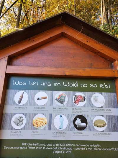 Challenge – Gassi & Clean-Beitrag-Bild