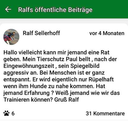 Aggressiv-Beitrag-Bild