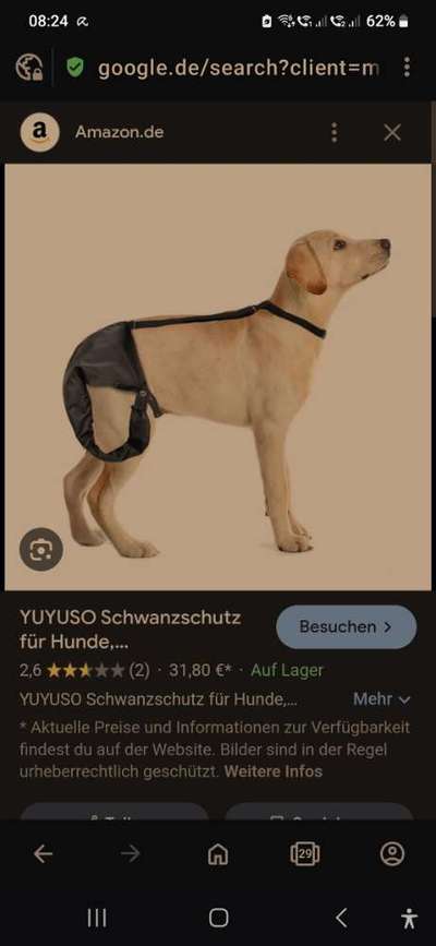 Happy Tail Syndrome - Tipps für Verband an Rute?-Beitrag-Bild