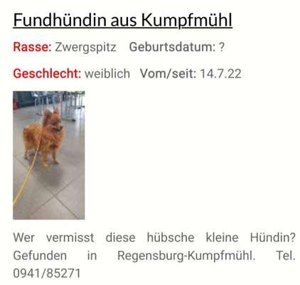 Entlaufene, Gefundene und Vermisste Hunde-Beitrag-Bild