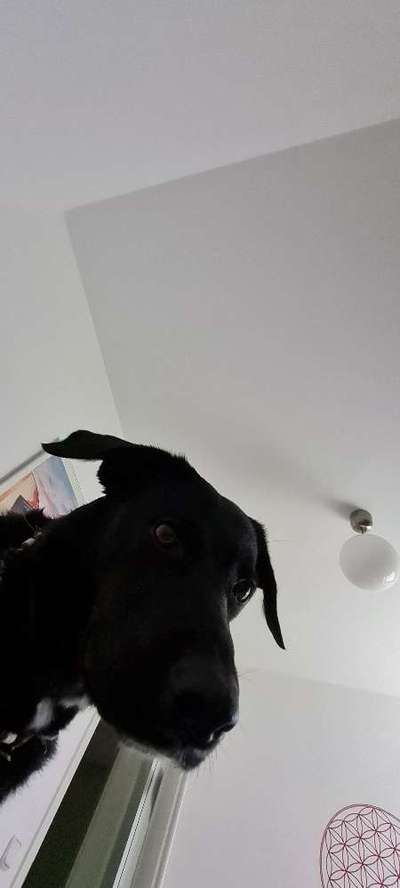 23. Handy Foto-Challenge-Beitrag-Bild