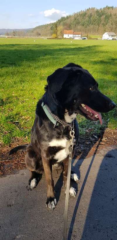 Erfolgsgeschichten gesucht-Beitrag-Bild