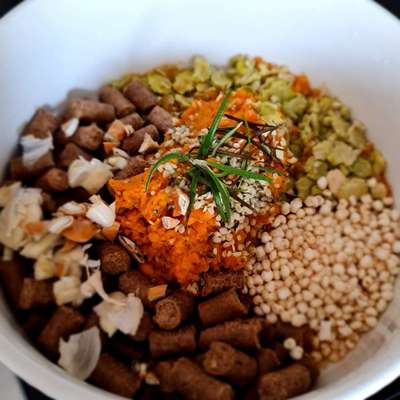 Zeigt her Eure Futternäpfe-Beitrag-Bild