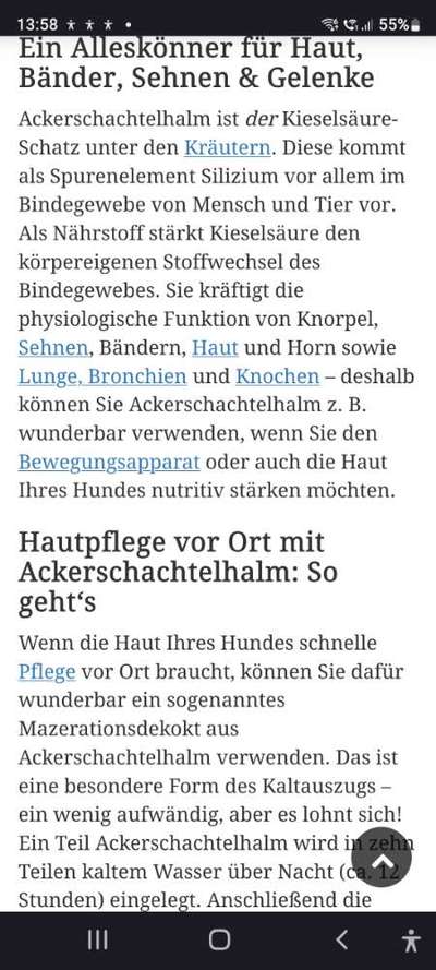 Zeigt her Eure Futternäpfe-Beitrag-Bild