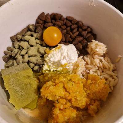 Zeigt her Eure Futternäpfe-Beitrag-Bild