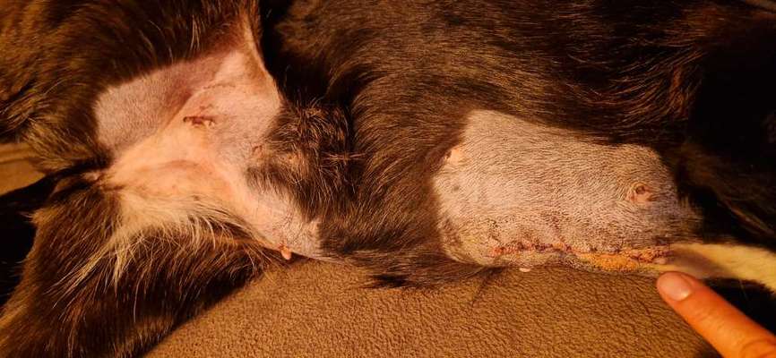 Danke ...-Beitrag-Bild