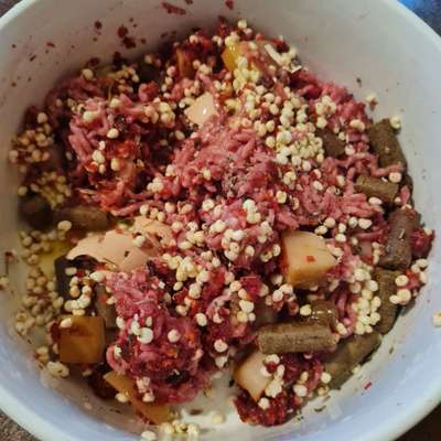 Zeigt her Eure Futternäpfe-Beitrag-Bild