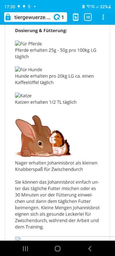 Was Hundehalter wissen und können sollten!-Beitrag-Bild