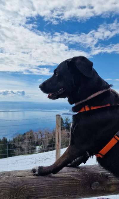 Schnee Foto-Beitrag-Bild