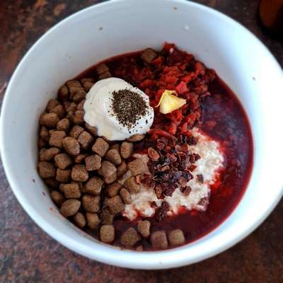 Zeigt her Eure Futternäpfe-Beitrag-Bild