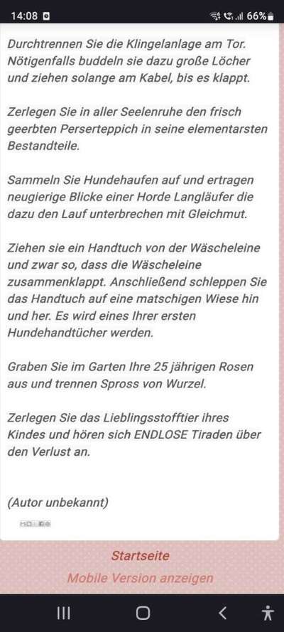 Tipps und Tricks für alle Erst-Welpenbesitzer-Beitrag-Bild