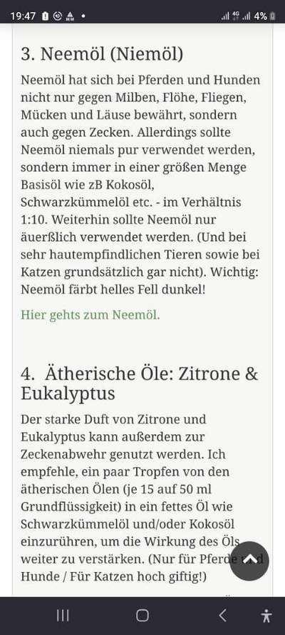 Hirschlausfliege-Beitrag-Bild