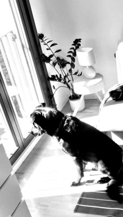 120. Fotochallenge-Beitrag-Bild