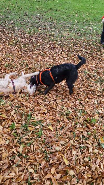 Danke ...-Beitrag-Bild