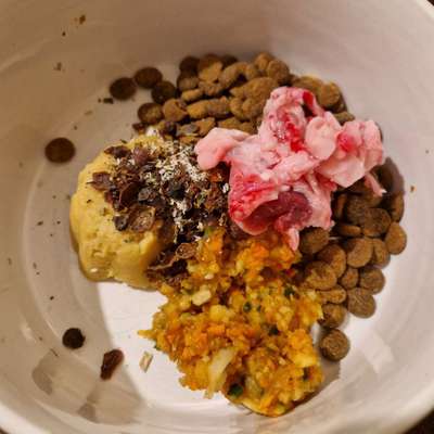 Zeigt her Eure Futternäpfe-Beitrag-Bild