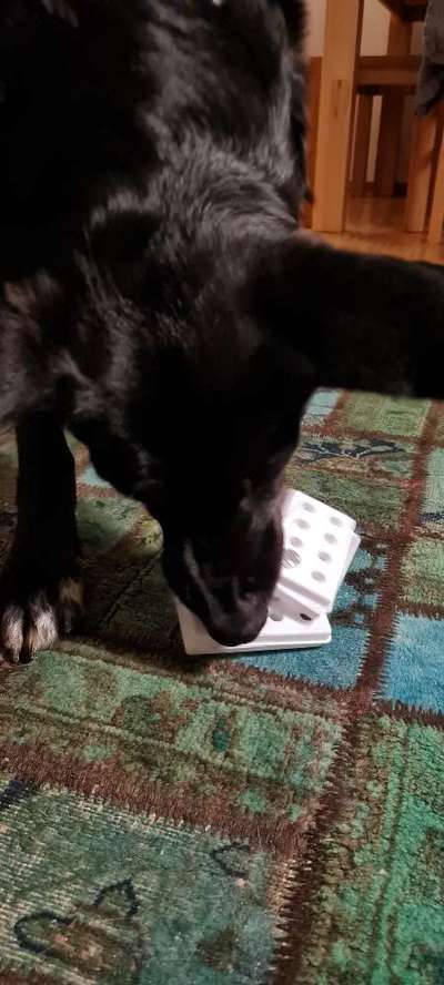 Schnüffelspiele Ideen.-Beitrag-Bild