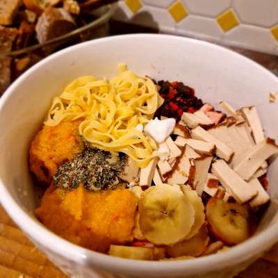 vegane Hundeernährung-Beitrag-Bild