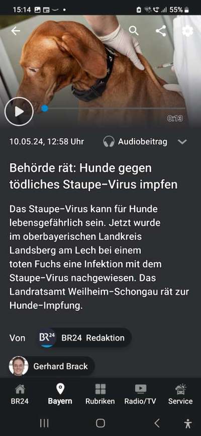 Wie steht ihr zur Empfehlung gegen Staupe zu impfen.-Beitrag-Bild