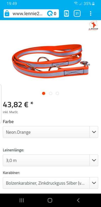 Blinkende Leuchthalsbänder, schädlich für Mensch und Hund-Beitrag-Bild