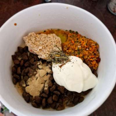 vegane Hundeernährung-Beitrag-Bild