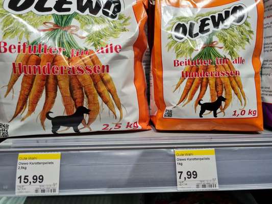 Was Hundehalter wissen und können sollten!-Beitrag-Bild