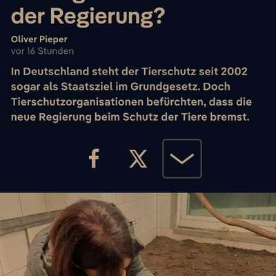 Qualzucht - Warum Aufklärung alleine nicht reicht-Beitrag-Bild