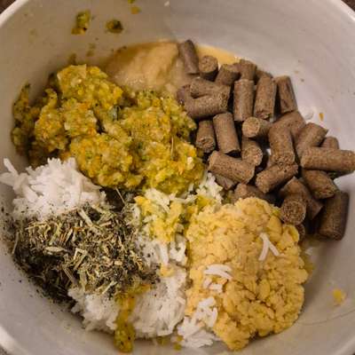 Zeigt her Eure Futternäpfe-Beitrag-Bild