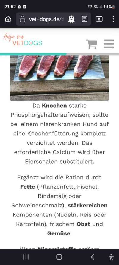 Vegane Ernährung bei Nierenerkrankung-Beitrag-Bild