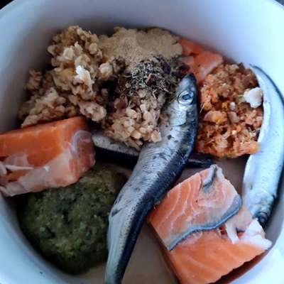 Zeigt her Eure Futternäpfe-Beitrag-Bild